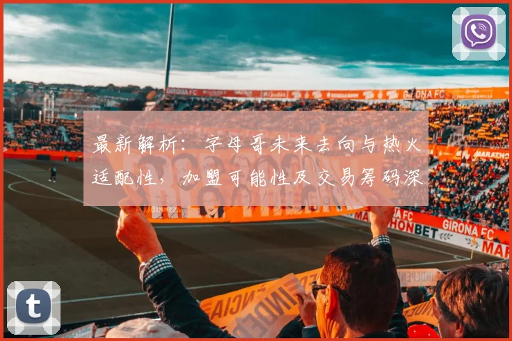 最新解析：字母哥未来去向与热火适配性，加盟可能性及交易筹码深度分析